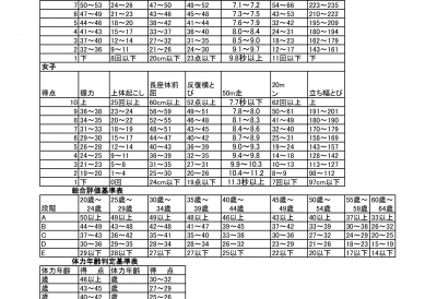 体力 テスト 点数